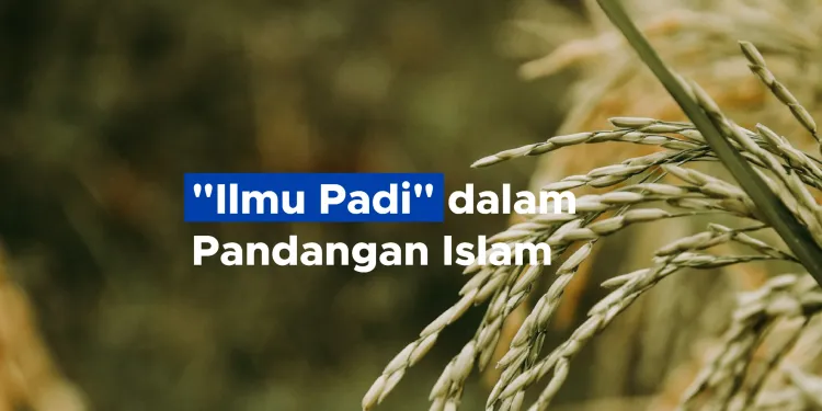 “Ilmu Padi” dalam Pandangan Islam
