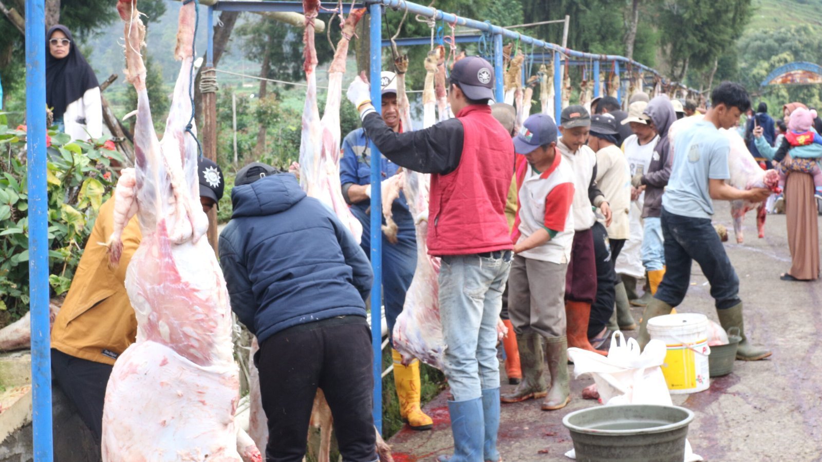 Buletin : Memaknai Ikhlas Dalam Berqurban